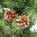 34865506 Holiday/Christmas/Christmas Trees