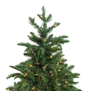 32915575 Holiday/Christmas/Christmas Trees