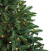 32915575 Holiday/Christmas/Christmas Trees