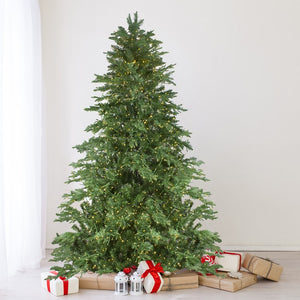 32915606 Holiday/Christmas/Christmas Trees