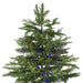 32915606 Holiday/Christmas/Christmas Trees