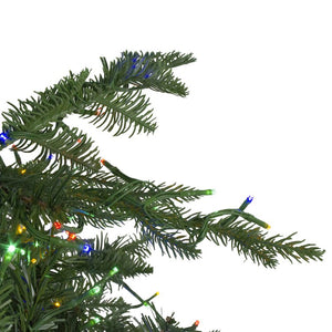 32915606 Holiday/Christmas/Christmas Trees
