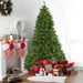 32915607 Holiday/Christmas/Christmas Trees