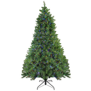 32915607 Holiday/Christmas/Christmas Trees