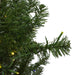 32915607 Holiday/Christmas/Christmas Trees