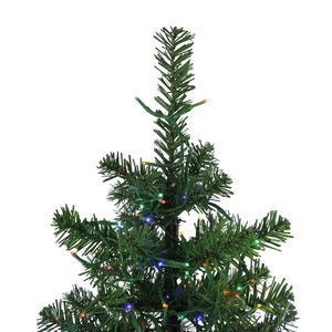 32915607 Holiday/Christmas/Christmas Trees