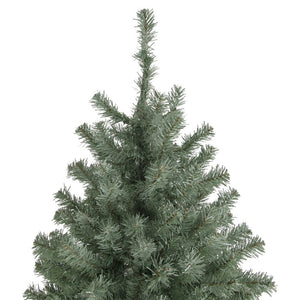 35166982 Holiday/Christmas/Christmas Trees