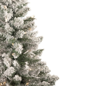 34865260 Holiday/Christmas/Christmas Trees