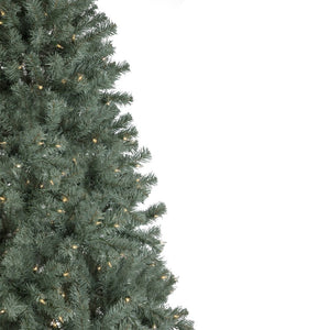35166983 Holiday/Christmas/Christmas Trees