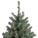 35166983 Holiday/Christmas/Christmas Trees