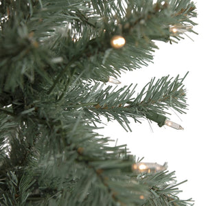 35166983 Holiday/Christmas/Christmas Trees