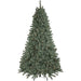 35166983 Holiday/Christmas/Christmas Trees
