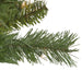 35252109 Holiday/Christmas/Christmas Trees