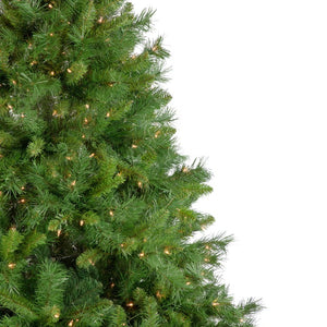 35252109 Holiday/Christmas/Christmas Trees