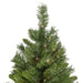35252109 Holiday/Christmas/Christmas Trees