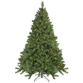 6.5' Pre-Lit Chatham Pine Artificial Christmas Tree with Clear Lights