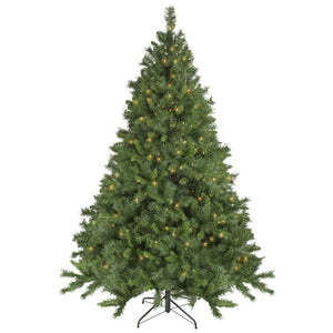 35252109 Holiday/Christmas/Christmas Trees