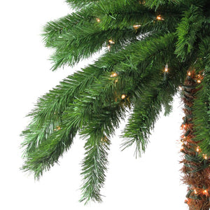 31742041 Holiday/Christmas/Christmas Trees