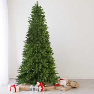 31742321 Holiday/Christmas/Christmas Trees