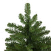 31742321 Holiday/Christmas/Christmas Trees