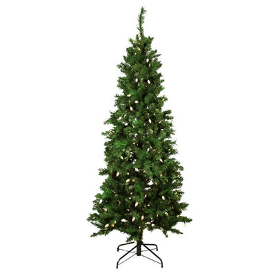 31752241 Holiday/Christmas/Christmas Trees