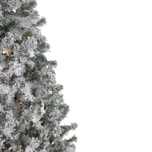 34865261 Holiday/Christmas/Christmas Trees