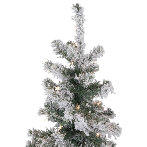 34865261 Holiday/Christmas/Christmas Trees