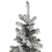 34865261 Holiday/Christmas/Christmas Trees
