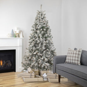 34908476 Holiday/Christmas/Christmas Trees