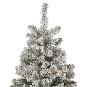 34908476 Holiday/Christmas/Christmas Trees
