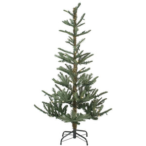 32275088 Holiday/Christmas/Christmas Trees