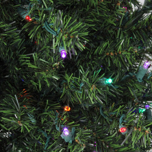 32913254 Holiday/Christmas/Christmas Trees