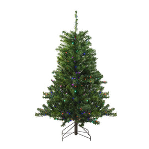 32913254 Holiday/Christmas/Christmas Trees