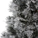 33388949 Holiday/Christmas/Christmas Trees