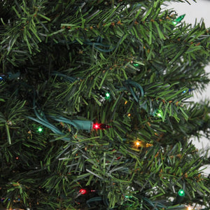 32913255 Holiday/Christmas/Christmas Trees