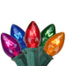 31476002 Holiday/Christmas/Christmas Lights