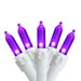 32605427 Holiday/Christmas/Christmas Lights