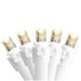 32608186 Holiday/Christmas/Christmas Lights