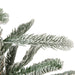 32275060 Holiday/Christmas/Christmas Trees