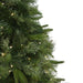 32265730 Holiday/Christmas/Christmas Trees