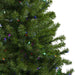 32913258 Holiday/Christmas/Christmas Trees