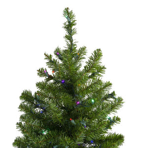 32913258 Holiday/Christmas/Christmas Trees