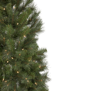 34865236 Holiday/Christmas/Christmas Trees