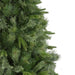 32265731 Holiday/Christmas/Christmas Trees