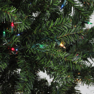 32913259 Holiday/Christmas/Christmas Trees