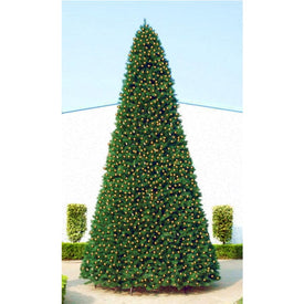 15' Pre-Lit Green Pencil Pine Artificial Christmas Tree with Clear Lights