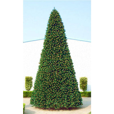 33388892 Holiday/Christmas/Christmas Trees