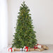 33388894 Holiday/Christmas/Christmas Trees