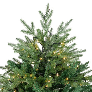 34865021 Holiday/Christmas/Christmas Trees