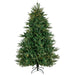 34865021 Holiday/Christmas/Christmas Trees